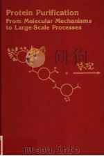 PROTEIN PURIFICATION FROM MOLECULAR MECHANISMS TO LARGE-SCALE PROCESSES PDF电子版封面 0841217904