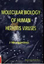 MOLECULAR BIOLOGY OF HUMAN HEPATITIS VIRUSES 1998 PDF电子版封面 186094048X J.MONJARDINO