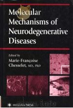 MOLECULAR MECHANISMS OF NEURODEGENERATIVE DISEASES PDF电子版封面 0896038041