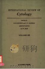 INTERNATIONAL REIEW OF CYTOLOGY VOLUME 85 PDF电子版封面 0123644852 G.H.BOURNE J.F.DANIELLI