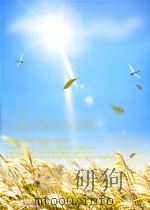 INFRARED TECHNOLOGY XIV VOLUME 972 PDF电子版封面 LRVING J.SPIRO