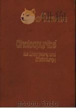 CHALCOPYRITE ITS CHEMISTRY AND METALLURGY（ PDF版）