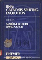 RNA：CATALYSIS，SPLICING，EVOLUTION     PDF电子版封面  0444812105  MARLENE BELFORT AND DAVID A.SH 