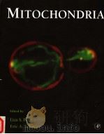 METHODS IN CELL BIOLOGY  VOLUME 65     PDF电子版封面  012544169X  LIZA A.PON  ERIC.A.SCHON 