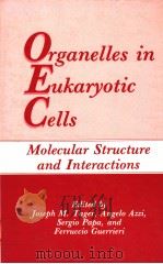 ORGANELLES IN EUKARYOTIC CELLS MOLECULAR STRUCTURE AND INTERACTIONS PDF电子版封面 JOSEPH M.TAGER ANGELO AZZI S