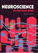 NEUROSCIENCE AN ILLUSTRATED GUIDE     PDF电子版封面  0136173411  ROGER BARKER 