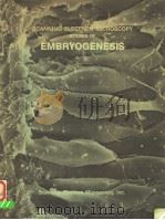SCANNING ELECTRON MICROSCOPY STUDIES OF EMBRYOGENESIS PDF电子版封面 0931288363
