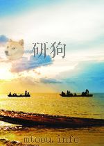 OFF-DESIGN PERFORMANCE CHARACTERISTICS OF SUPERCAVITATING HYDROFOILS IN CASCADE     PDF电子版封面    R.OBA 