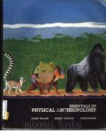 ESSENTIALS OF  PHYSICAL ANTHROPLLOGY     PDF电子版封面  0314934405   