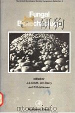 FUNGAL BIOTECHNOLOGY     PDF电子版封面     