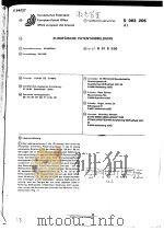 EUROPAISCHE PATENTANMELDUNG PDF电子版封面