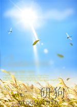 THE PDF电子版封面 D.BRIAN SPALDING
