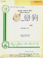 MALLET IMPACT TEST （FINAL REPORT）（ PDF版）