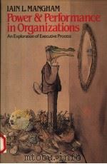 POWER AND PERFORMANCE IN ORGANIZATIONS（1986 PDF版）