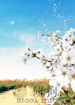 THE EMPEROR CHARLES V     PDF电子版封面     