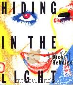 HIDING IN THE LIGHT:ON IMAGES AND THINGS PDF电子版封面 0415007372 DICK HEBDIGE