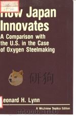 HOW JAPAN INNOVATES A COMPARISON WITH THE U.S. IN THE CASE OF OXYGEN STEELMAKING PDF电子版封面 0865319006 LEONARD H.LYNN