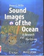 SOUND IMAGES OF THE OCEAN IN RESEARCH AND MONITORING PDF电子版封面 3540241221 PETER C.WILLE
