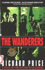 THE WANDERERS   1974  PDF电子版封面  0380774747  RICHARD PRICE 