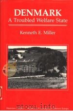 DENMARK:A TROUBLED WELFARE STATE 1991 PDF电子版封面 0813308348 KENNETH E.MILLER