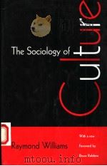 THE SOCIOLOGY OF CULTURE 1995 PDF电子版封面 0226899217