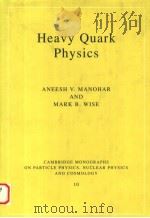 HEAVY QUARK PHYSICS PDF电子版封面 0521642418 ANEESH V.MANOHAR MARK B.WISE