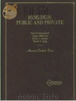 REMEDIES:PUBLIC AND PRIVATE PDF电子版封面 0314710167 DAVID SCHOENBROD ANGUS MACBET