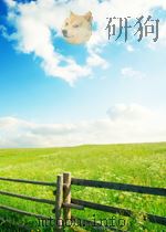 A STORY ABOUT A REAL MAN     PDF电子版封面    POLEVOI 