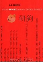 USING REDUCE IN HIGH ENERGY PHYSICS（ PDF版）