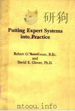 PUTTING EXPERT SYSTEMS INTO PRACTICE PDF电子版封面 0442208421 ROBERT G.BOWERMAN B.SC DAVID