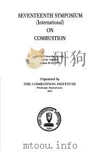 SEVENTEENTH SYMPOSIUM (INTERNATIONAL) ON COMBUSTION PDF电子版封面