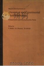 RECENT DEVELOPMENTS IN THEORETICAL AND EXPERIMENTAL FLUID MECHANICS PDF电子版封面 U.MULLER K.G.ROESNER B.SCHMI