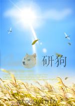 WEATHER AND WHY PDF电子版封面 CAPTAIN IENAR E.ELM