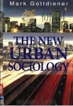 THE NEW URBAN SOCIOLOGY 1994 PDF电子版封面 0070239126