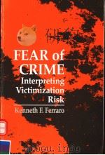 FEAR OF CRIME INTERPRETING VICTIMIZATION RISK 1995 PDF电子版封面 0791423697