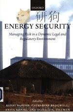 ENERGY SECURITY PDF电子版封面 0199271615 BARRY BARTON AND DONALD N.ZILL