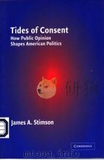 TIDES OF CONSENT PDF电子版封面 0521601177 JAMES A.STIMSON