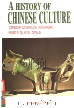 中国文化史 英文版 1993 PDF电子版封面 7810189115 郭尚兴,盛兴庆编著