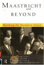 MAASTRICHT AND BEYOND 1994 PDF电子版封面 0415108187