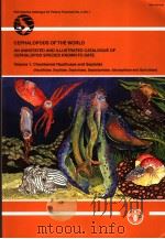 CEPHALOPODS OF THE WORLD VOL.1 CHAMBERED NAUTILUSES AND SEPIOIDS PDF电子版封面 9251053839