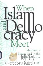 WHEN ISLAM AND DEMOCRACY MEET:MUSLIMS IN EUROPE AND IN THE UNITED STATES PDF电子版封面 0312294018