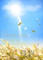 REBEL IN CHIEF  INSIDE THE BOLD AND CONTROVERSIAL PRESIDENCY OF GEORGE W.BUSH     PDF电子版封面  0307336492  FRED BARNES 