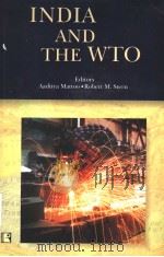 INDIA AND THE TWO PDF电子版封面 8170339146 AADITYA MATTO AND ROBERT M. ST