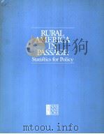 RURAL AMERICA IN PASSAGE:STATISTICS FOR POLICY PDF电子版封面 0309031753 DOROTHY M.GILFORD GLENN L.NELS