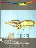 THE ANTS OF NEVADA PDF电子版封面 093864422X GEORGE C.WHEELER AND JEANETTE