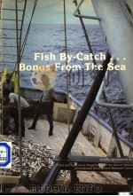 FISH BY CATCH BONUS FROM THE SEA PDF电子版封面