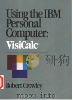 USING THE IBM PERSONAL COMPUTER：VISICALC     PDF电子版封面  003062634X   