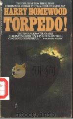 HARRY HOMEWOOD TORPEDO!（ PDF版）