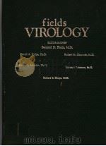FIELDS VIROLOGY     PDF电子版封面  088167026X  BERNARD N.FIELDS，M.D. 