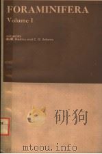 FORAMINIFERA VOLUME 1 1974 PDF电子版封面 0123364019 R H HEDLEY C G ADAMS